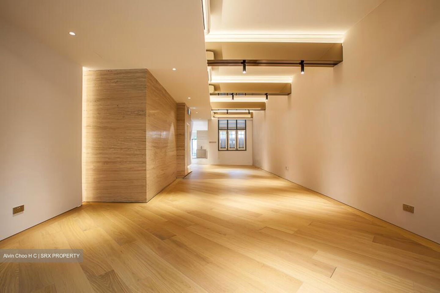 Sago Lane (D1), Shop House #501145491